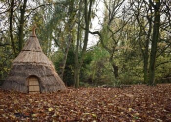 Study shows organized living spaces of Mesolithic hunter-gatherers at Star Carr