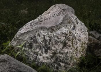 Rare Neolithic polishing stone unearthed in Dorset