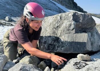 Melting ice in norway reveals fragments of the world’s only Viking Age packhorse net