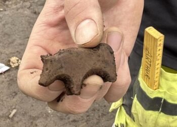 Viking Age toy carved from volcanic rock discovered in Iceland