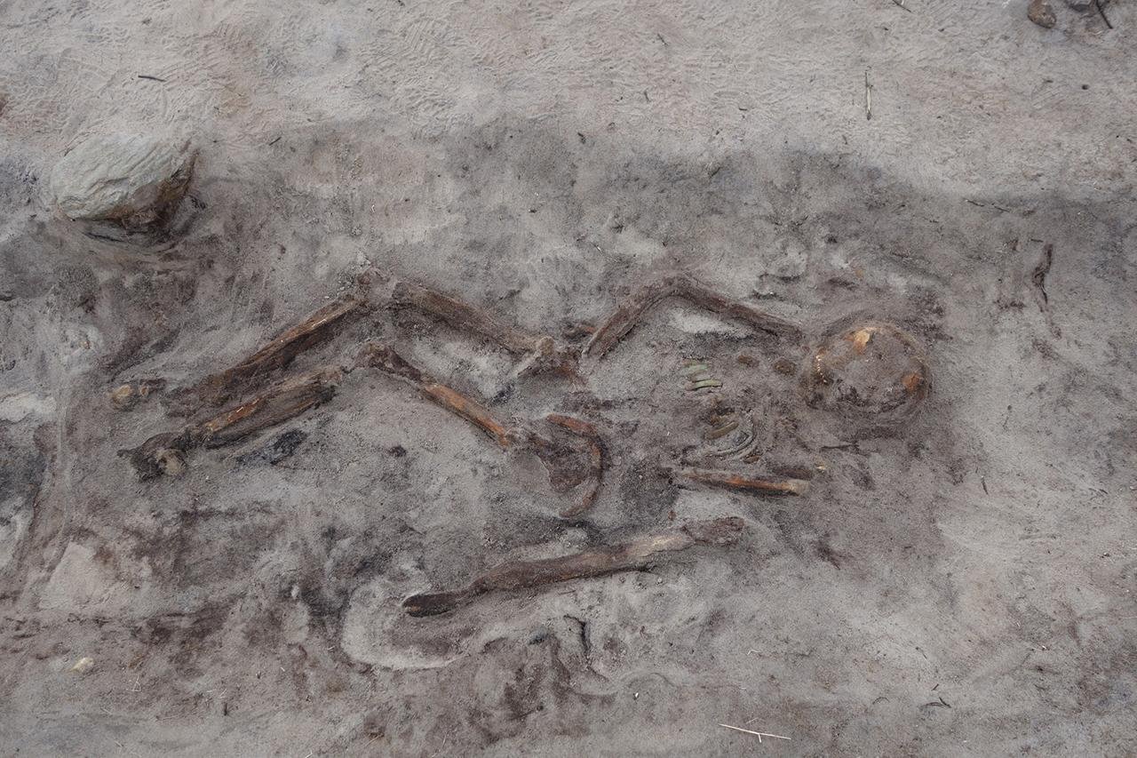 Viking-era boat burial unearthed in Norway reveals 1,100-year-old remains of woman and her dog