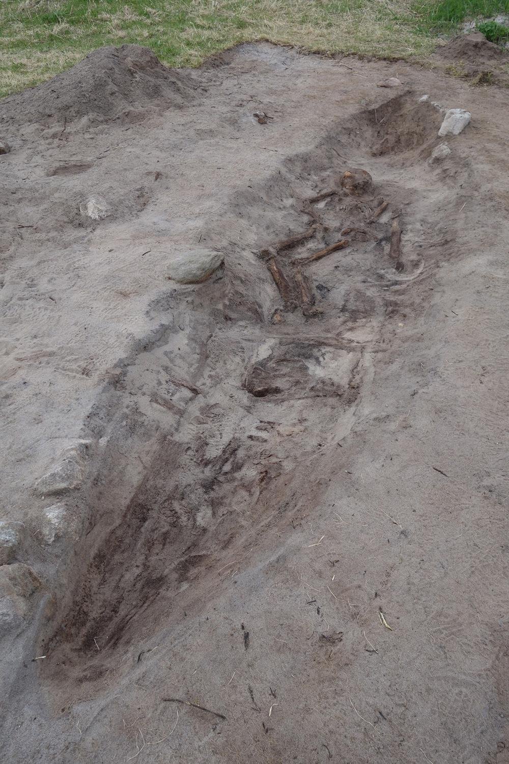 Viking-era boat burial unearthed in Norway reveals 1,100-year-old remains of woman and her dog