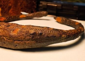 Rare Viking-era bracelet discovered in Swedish wetland by passerby
