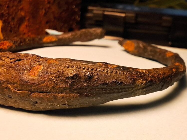 Rare Viking-era bracelet discovered in Swedish wetland by passerby