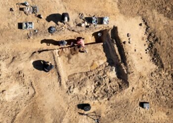 Viking Age burial near Aarhus linked to Harald Bluetooth’s noble allies unearthed in Denmark