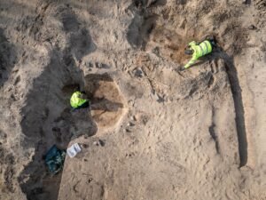 Viking Age burial near Aarhus linked to Harald Bluetooth’s noble allies unearthed in Denmark
