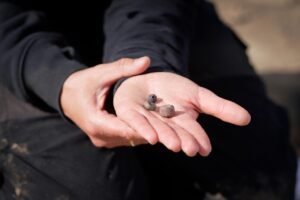 Viking Age burial near Aarhus linked to Harald Bluetooth’s noble allies unearthed in Denmark