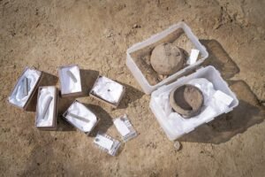 Viking Age burial near Aarhus linked to Harald Bluetooth’s noble allies unearthed in Denmark