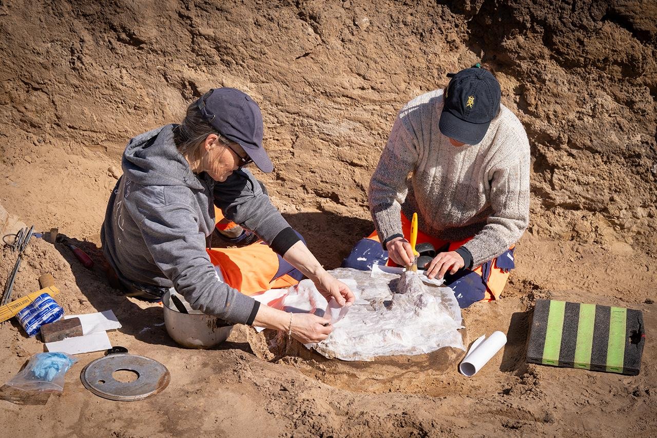 Viking Age burial near Aarhus linked to Harald Bluetooth’s noble allies unearthed in Denmark