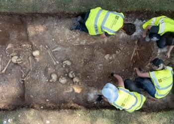 Viking Age mass grave with dismembered bodies and trepanned giant found near Cambridge