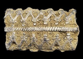 Viking Age silver bracelet unearthed by metal detectorist in Norway