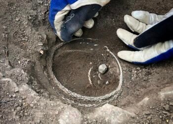Viking-era silver treasure and farm discovered in Täby, Sweden
