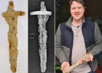 Norwegian farmer discovers rare Viking sword while picking up trash in field