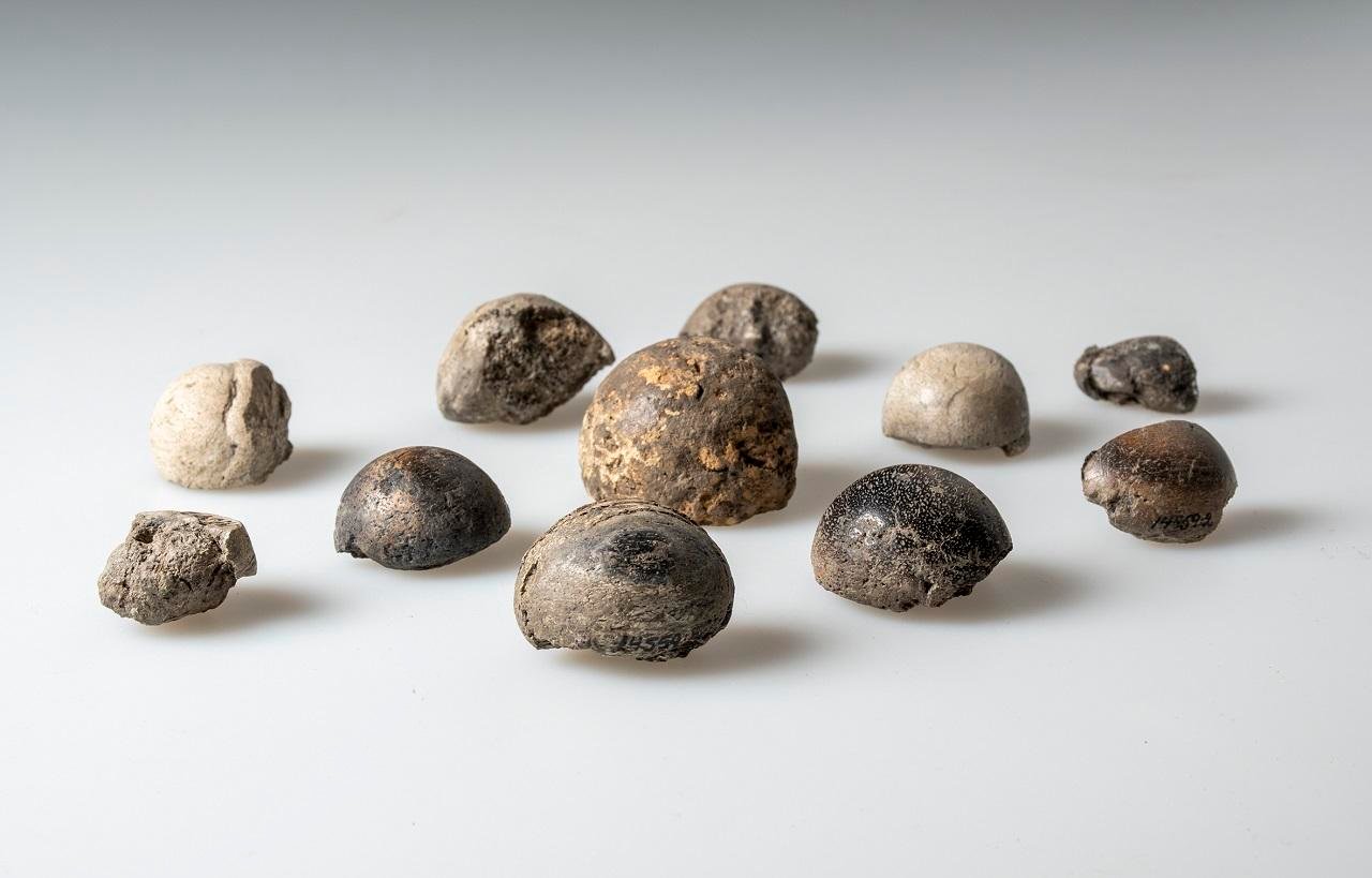 Viking treasures unearthed in Sweden reveal a society in transition