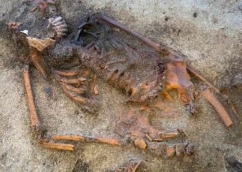 Unusual Viking woman’s burial in Norway reveals a mysterious ritual
