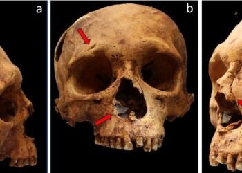 Study reveals evidence of violence during ancient Peru crisis
