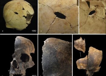 Butchered bones reveal cannibalism and violent 'othering' in Bronze Age Britain