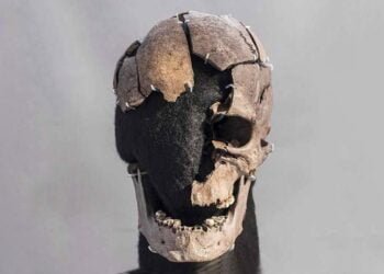 The skull of 'Vittrup Man' was smashed by eight heavy blows in a violent murder, new research finds