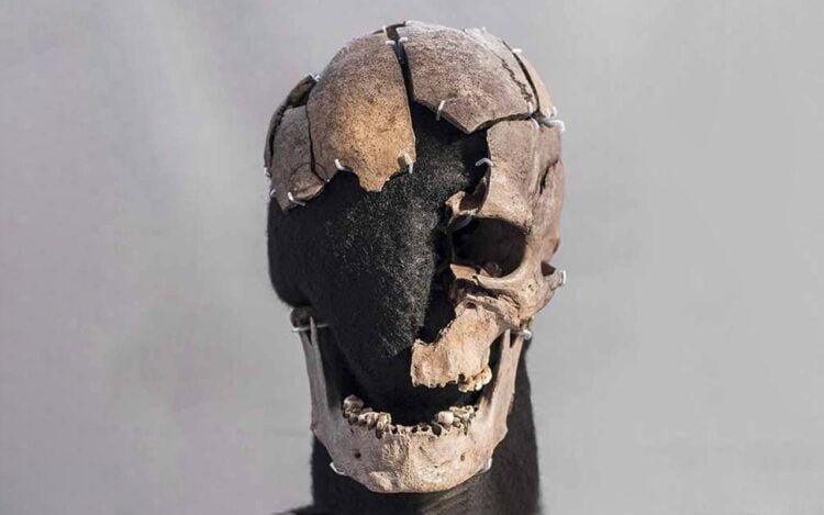 The skull of 'Vittrup Man' was smashed by eight heavy blows in a violent murder, new research finds