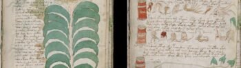 A new study suggests the mysterious Voynich Manuscript may be a medieval cipher