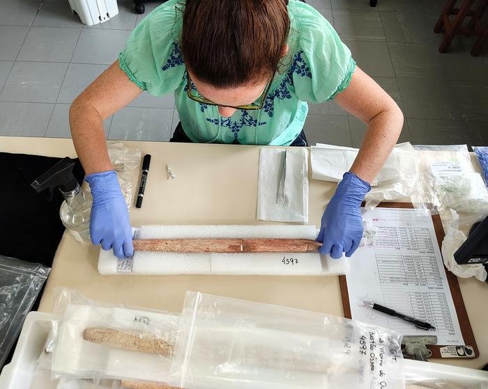 5,000-year-old whale harpoons reveal Indigenous people in Brazil hunted whales a millennium earlier than thought