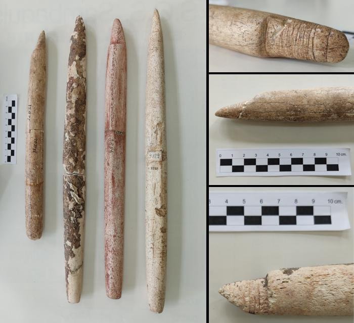 5,000-year-old whale harpoons reveal Indigenous people in Brazil hunted whales a millennium earlier than thought