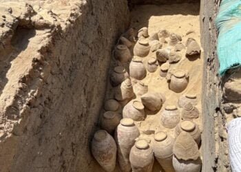 Sealed 5,000-year-old wine jars unearthed in Egyptian queen’s tomb