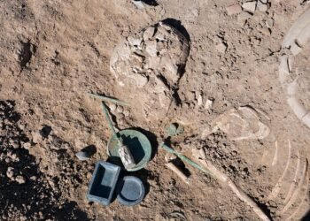 Bronze Age burial of young woman unearthed in Iran reveals Greater Khorasan’s wealth and trade links