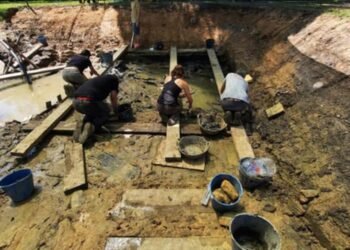 Preserved wooden elements discovered at La Draga Neolithic settlement