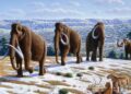 Mammoths and early human society