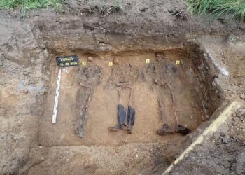 World War II mass grave in Poland reveals remains of German officer killed during Battle of Lauban
