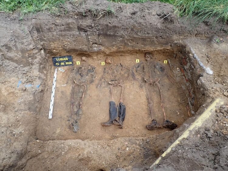 World War II mass grave in Poland reveals remains of German officer killed during Battle of Lauban
