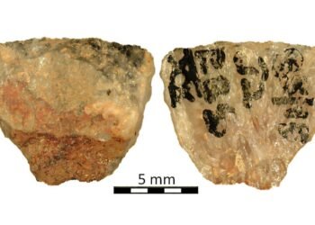 60,000-year-old poison arrows from South Africa reveal the world’s earliest poisoned weapons and advanced hunting techniques