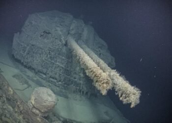 Japanese WWII destroyer Teruzuki wreck found off Guadalcanal after 83 years
