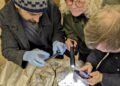 Roman York infants buried in rare purple and gold cloth linked to elite families, study finds