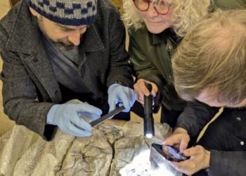 Roman York infants buried in rare purple and gold cloth linked to elite families, study finds