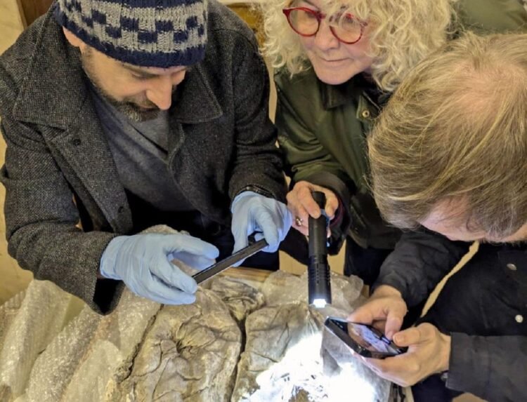 Roman York infants buried in rare purple and gold cloth linked to elite families, study finds
