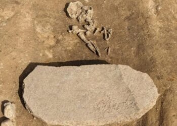 4,200-year-old “zombie grave” unearthed in Germany reveals Bronze Age superstitions