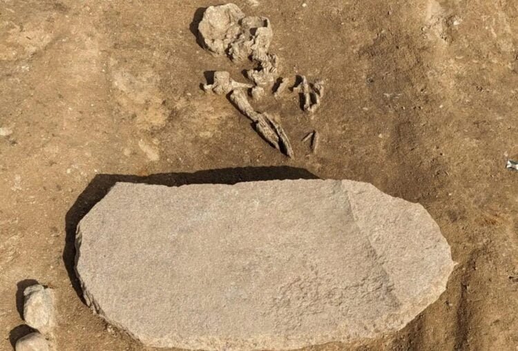 4,200-year-old “zombie grave” unearthed in Germany reveals Bronze Age superstitions