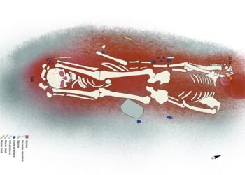 Latvian Stone Age burials challenge gender stereotypes: women and children buried with stone tools